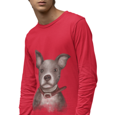 BLUZA AMERICAN PITBULL TERRIER